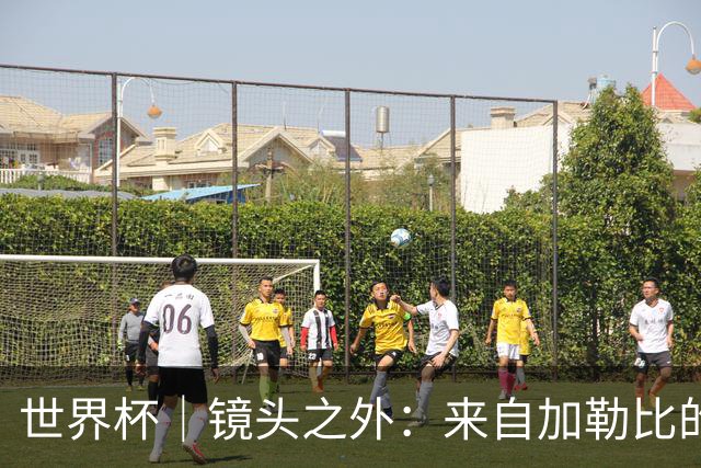 世界杯｜镜头之外：来自加勒比的蓝色海浪——库拉索